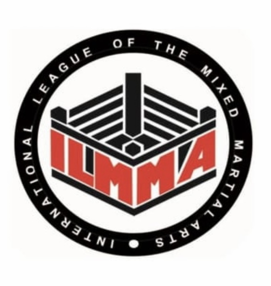 Международная Лига Смешанных Боевых Стилей ILMMA