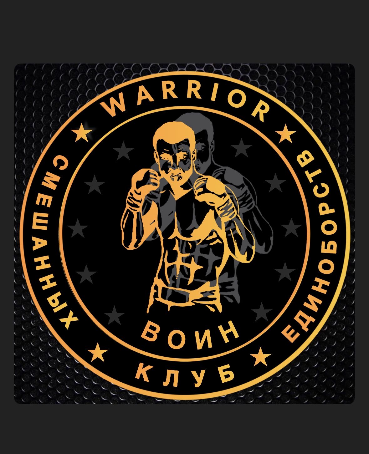 Воин