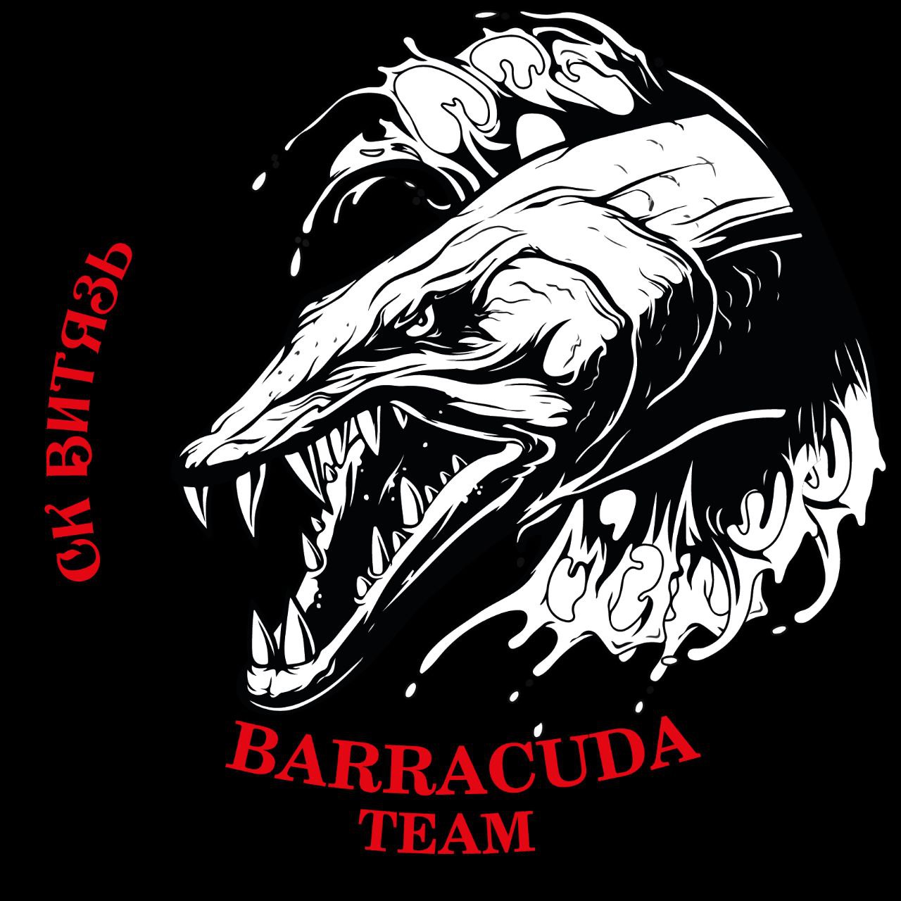 Barracuda team
