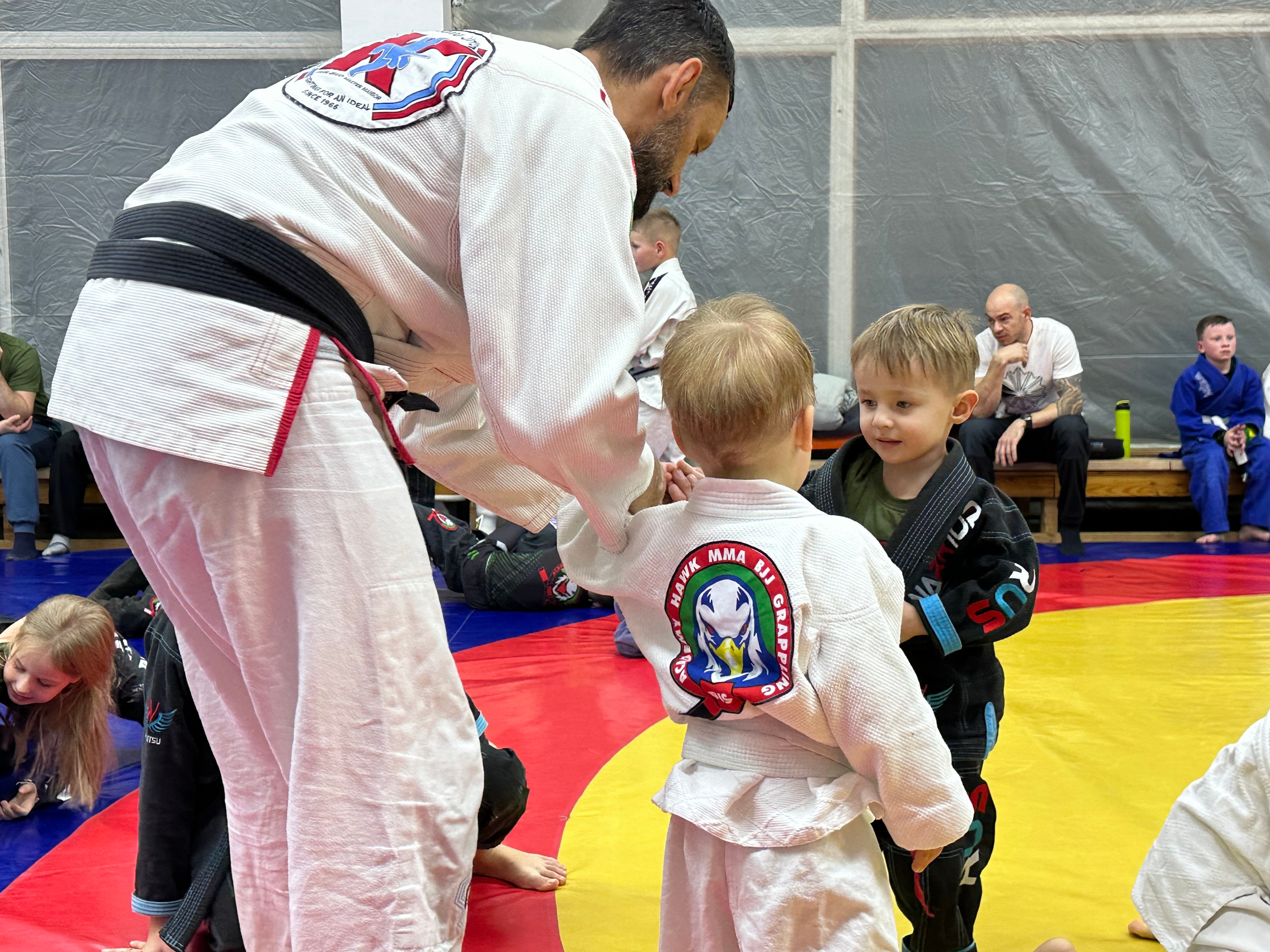 Академия Ястреб