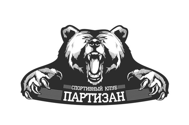 АНО СК ПАРТИЗАН 