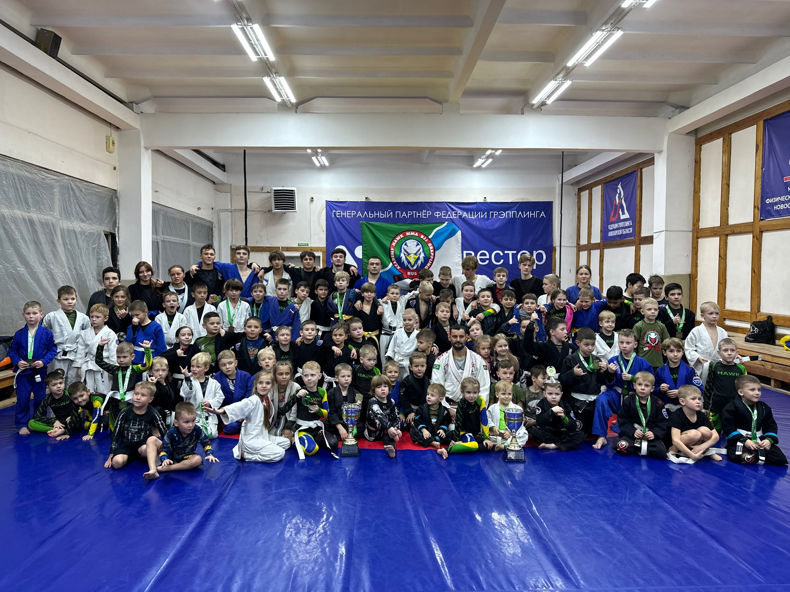 Академия Ястреб