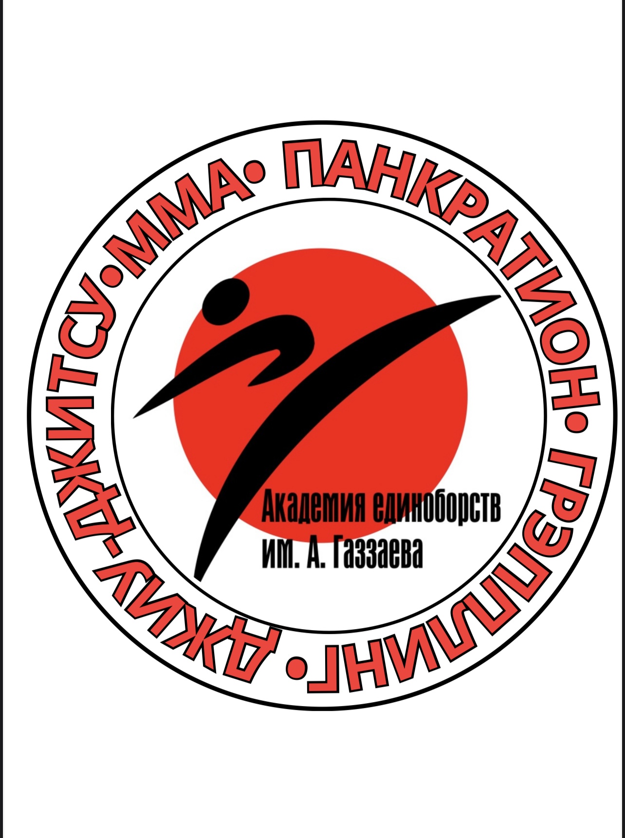 Академия единоборств А Газзаева